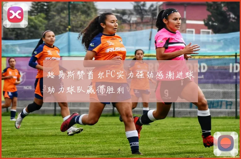 路易斯赞首尔FC实力强劲感谢进球助力球队赢得胜利